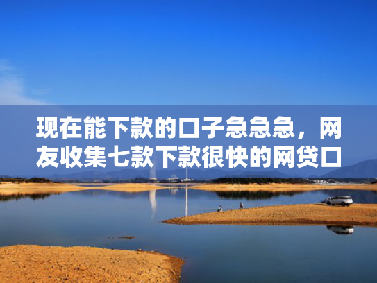 现在能下款的口子急急急，网友收集七款下款很快的网贷口子