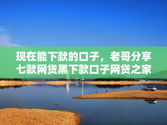 现在能下款的口子，老哥分享七款网贷黑下款口子网贷之家