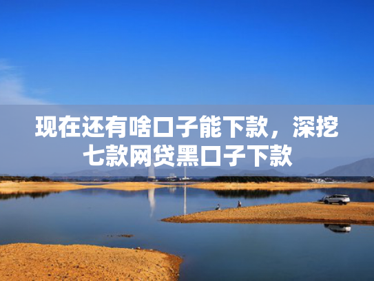 现在还有啥口子能下款，深挖七款网贷黑口子下款