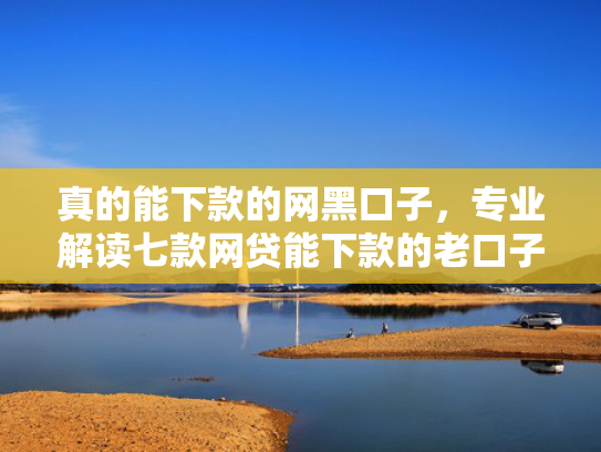 真的能下款的网黑口子，专业解读七款网贷能下款的老口子