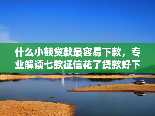 什么小额贷款最容易下款，专业解读七款征信花了贷款好下款的app