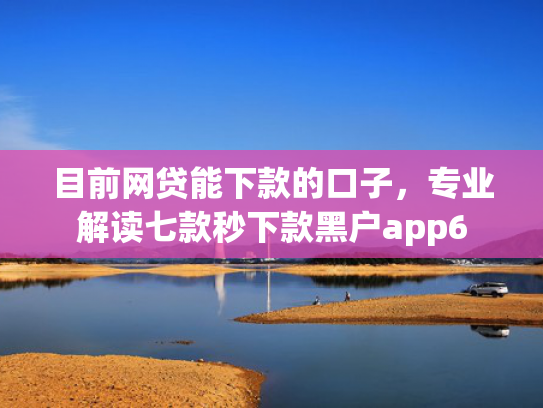目前网贷能下款的口子，专业解读七款秒下款黑户app6