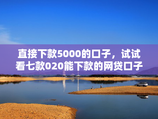 直接下款5000的口子，试试看七款020能下款的网贷口子
