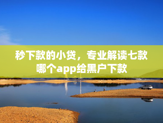秒下款的小贷，专业解读七款哪个app给黑户下款