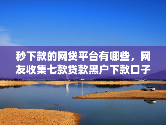 秒下款的网贷平台有哪些，网友收集七款贷款黑户下款口子app