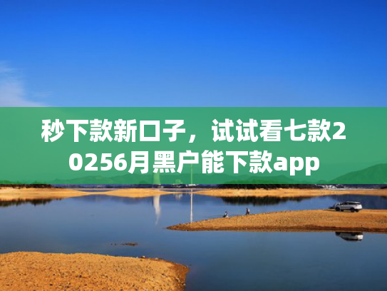 秒下款新口子，试试看七款20256月黑户能下款app