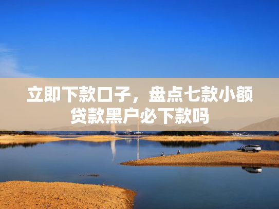立即下款口子，盘点七款小额贷款黑户必下款吗