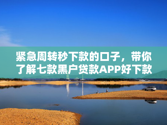 紧急周转秒下款的口子，带你了解七款黑户贷款APP好下款