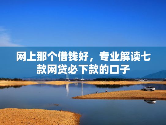 网上那个借钱好，专业解读七款网贷必下款的口子