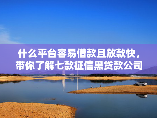什么平台容易借款且放款快，带你了解七款征信黑贷款公司能下款不