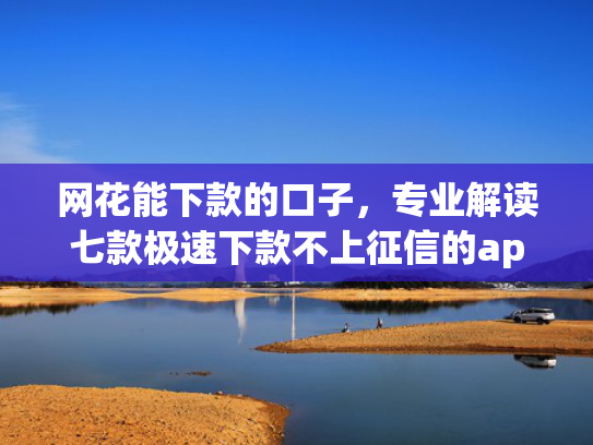 网花能下款的口子，专业解读七款极速下款不上征信的app有什么