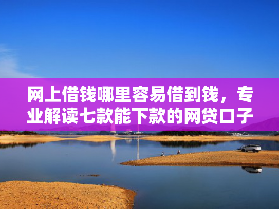 网上借钱哪里容易借到钱，专业解读七款能下款的网贷口子