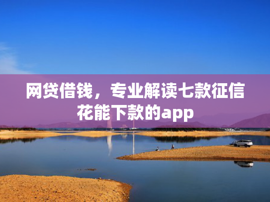 网贷借钱，专业解读七款征信花能下款的app