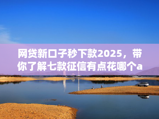 网贷新口子秒下款2025，带你了解七款征信有点花哪个app可以下款