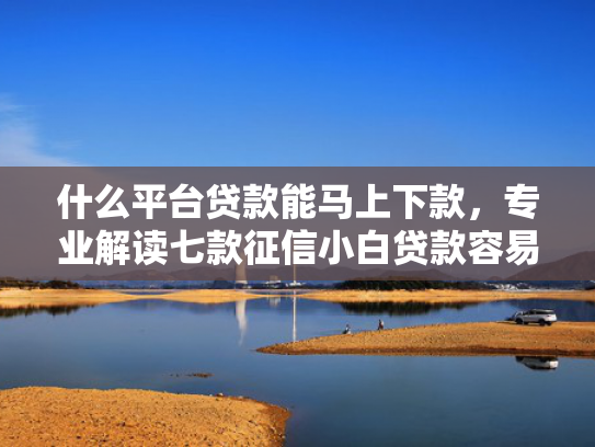 什么平台贷款能马上下款，专业解读七款征信小白贷款容易下款吗