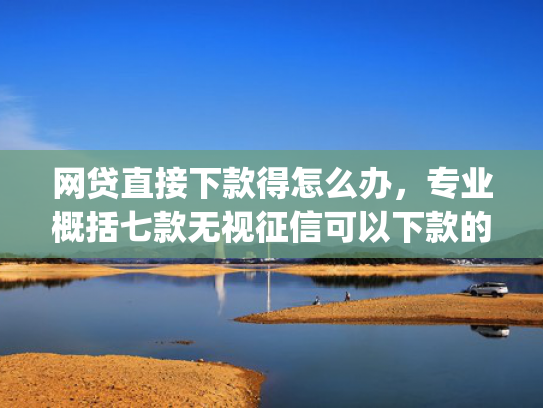 网贷直接下款得怎么办，专业概括七款无视征信可以下款的App贷款