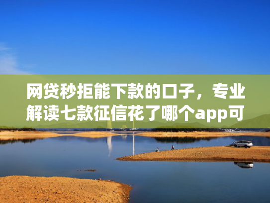 网贷秒拒能下款的口子，专业解读七款征信花了哪个app可以下款
