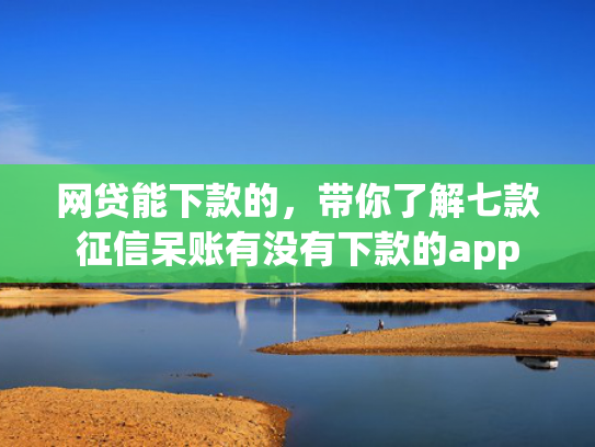 网贷能下款的，带你了解七款征信呆账有没有下款的app