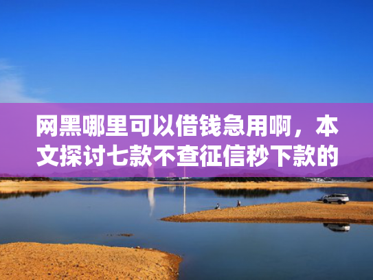 网黑哪里可以借钱急用啊，本文探讨七款不查征信秒下款的网贷app