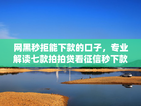 网黑秒拒能下款的口子，专业解读七款拍拍贷看征信秒下款的app