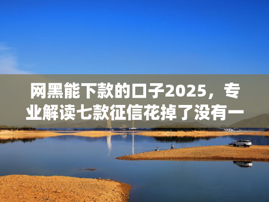 网黑能下款的口子2025，专业解读七款征信花掉了没有一家app下款