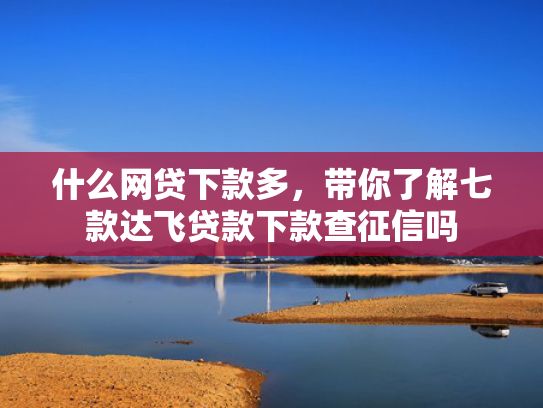 什么网贷下款多，带你了解七款达飞贷款下款查征信吗