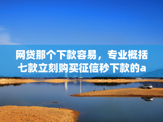 网贷那个下款容易，专业概括七款立刻购买征信秒下款的app