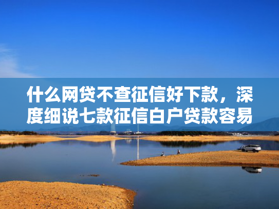 什么网贷不查征信好下款，深度细说七款征信白户贷款容易下款吗