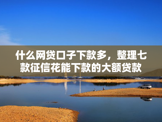 什么网贷口子下款多，整理七款征信花能下款的大额贷款