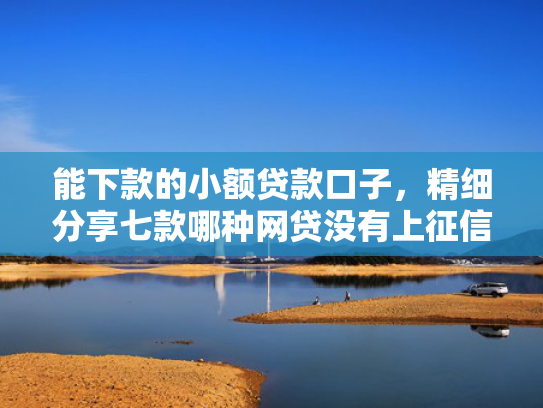 能下款的小额贷款口子，精细分享七款哪种网贷没有上征信的可以下款