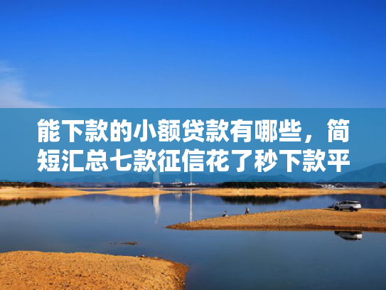 能下款的小额贷款有哪些，简短汇总七款征信花了秒下款平台