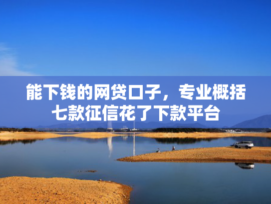 能下钱的网贷口子，专业概括七款征信花了下款平台
