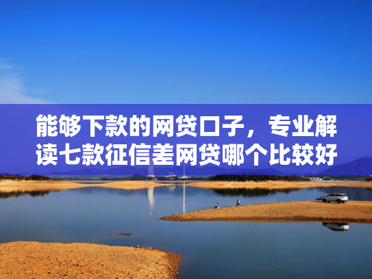能够下款的网贷口子，专业解读七款征信差网贷哪个比较好下款