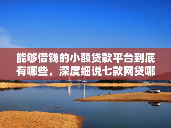 能够借钱的小额贷款平台到底有哪些，深度细说七款网贷哪些不上征信好下款