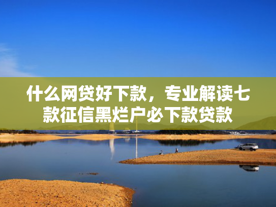 什么网贷好下款，专业解读七款征信黑烂户必下款贷款
