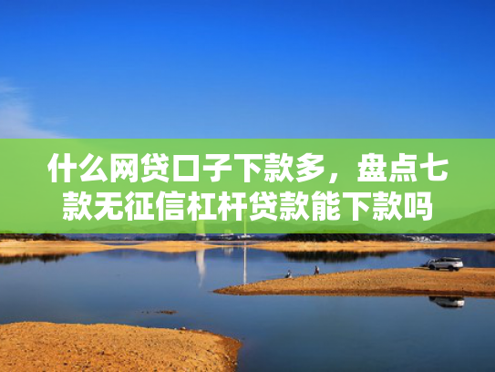 什么网贷口子下款多，盘点七款无征信杠杆贷款能下款吗