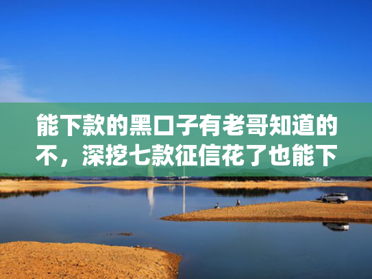 能下款的黑口子有老哥知道的不，深挖七款征信花了也能下款的网贷app