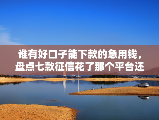 谁有好口子能下款的急用钱，盘点七款征信花了那个平台还可以下款
