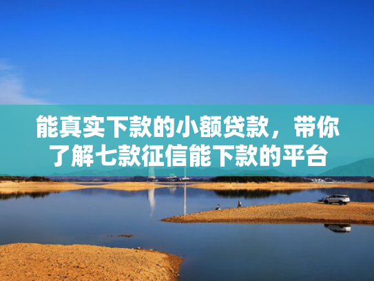 能真实下款的小额贷款，带你了解七款征信能下款的平台