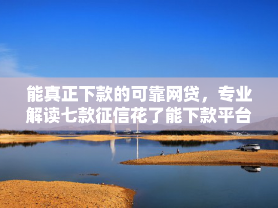 能真正下款的可靠网贷，专业解读七款征信花了能下款平台