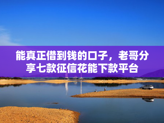 能真正借到钱的口子，老哥分享七款征信花能下款平台