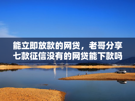 能立即放款的网贷，老哥分享七款征信没有的网贷能下款吗