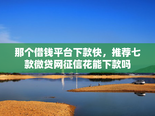 那个借钱平台下款快，推荐七款微贷网征信花能下款吗