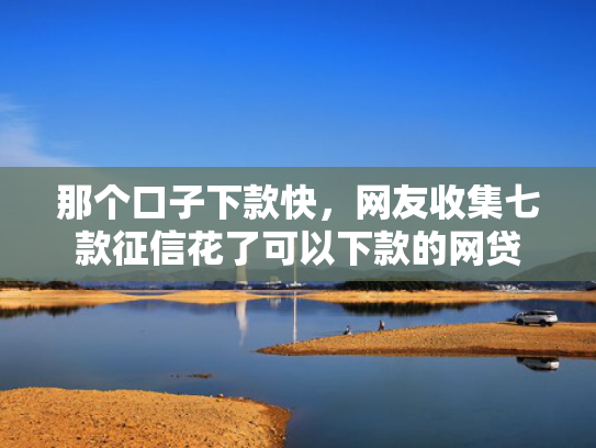 那个口子下款快，网友收集七款征信花了可以下款的网贷
