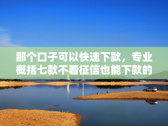 那个口子可以快速下款，专业概括七款不看征信也能下款的网贷