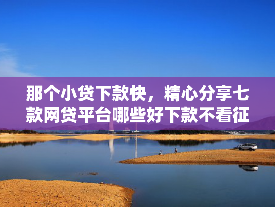 那个小贷下款快，精心分享七款网贷平台哪些好下款不看征信
