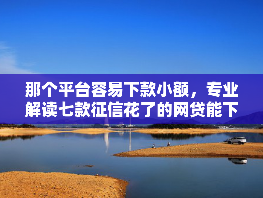 那个平台容易下款小额，专业解读七款征信花了的网贷能下款吗