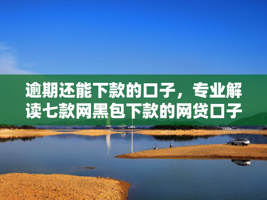 逾期还能下款的口子，专业解读七款网黑包下款的网贷口子