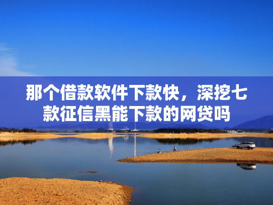 那个借款软件下款快，深挖七款征信黑能下款的网贷吗