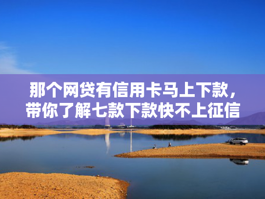 那个网贷有信用卡马上下款，带你了解七款下款快不上征信网贷平台